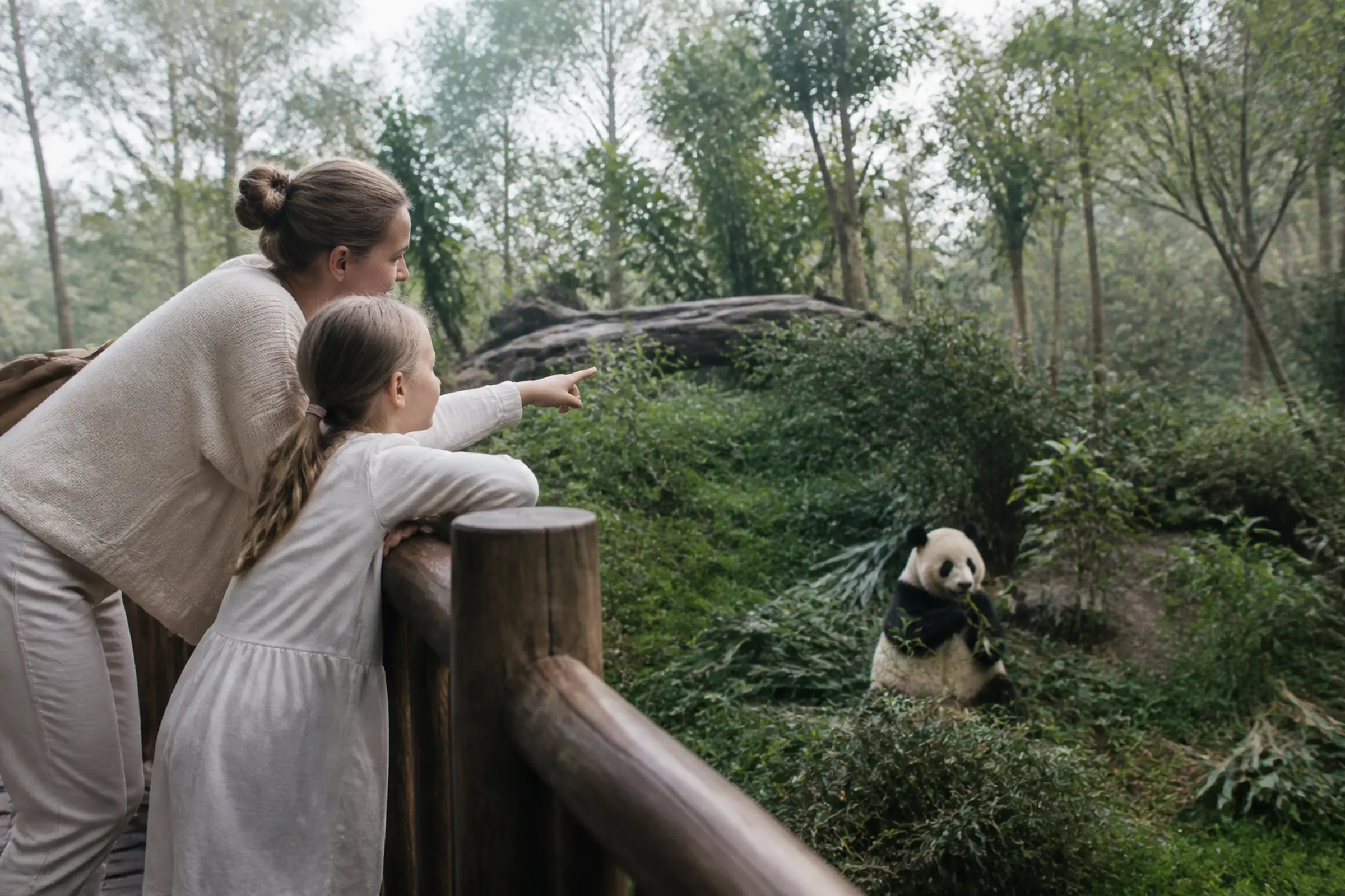 A family watching giant pandas at a Chengdu panda base